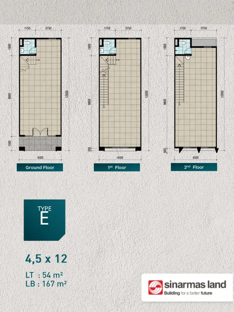 Xlane 11