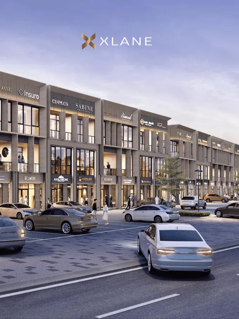 Xlane 3