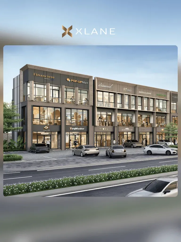 Xlane 4