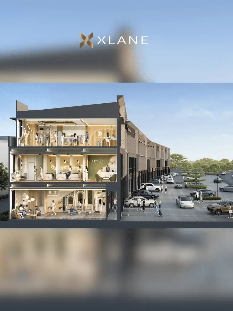 Xlane 6