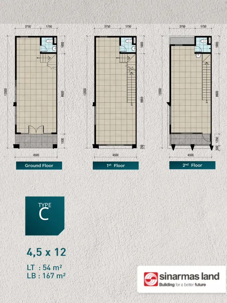 Xlane 9